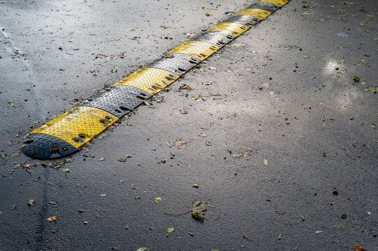 Yellow and black speed bump crosses a road with leaves scattered across the pavement