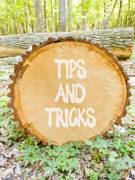 Tips and tricks words symbol. Concept words Tips and tricks on beautiful wooden circle. Beautiful green forest background. Business tips and tricks motivational support concept. Copy space.