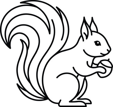 Cute minimalist squirrel line art vector illustration holding an acorn nut isolated on white background