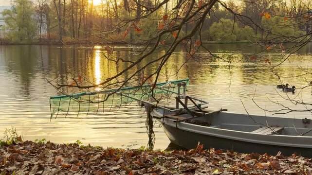 A small boat floats peacefully near autumn leaves resting along the golden shoreline. A calm slow motion view in Catherine Park, Pushkin, Russia inspires quiet serenity and warmth.