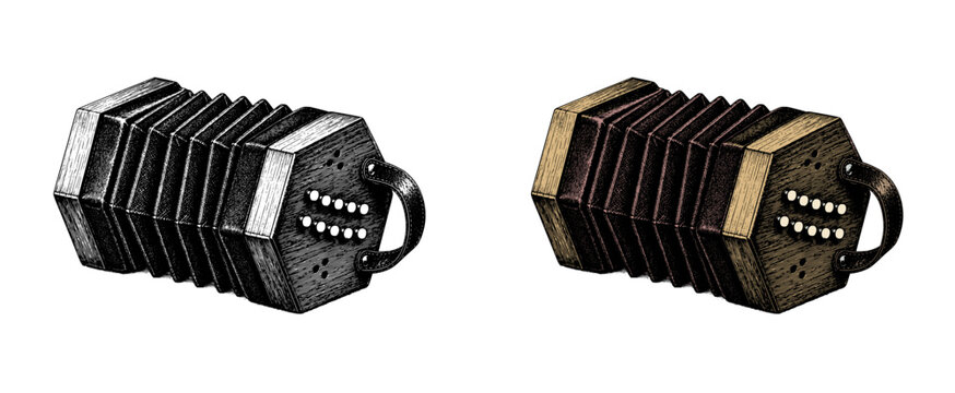 Hexagonal concertina with open bellows in a paired engraved instrument study