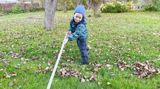 A young boy in a blue beanie rakes fallen autumn leaves in a grassy yard. He looks focused and proud while helping outdoors on a crisp day.