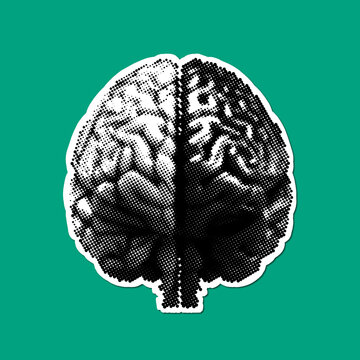 Halftone human brain anatomy graphic on green background