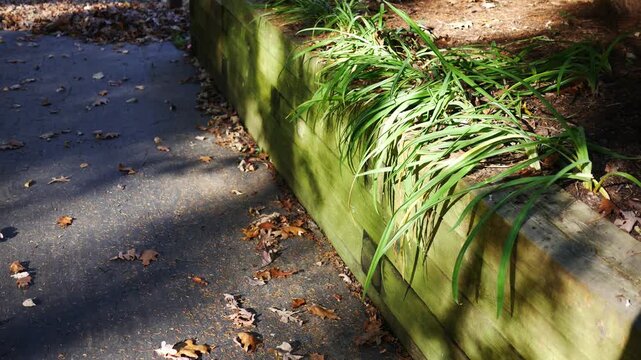  Retaining wall with mossy deterioration near home