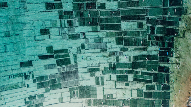 Aerial view of algae seaweed farm in Lembongan island, Bali