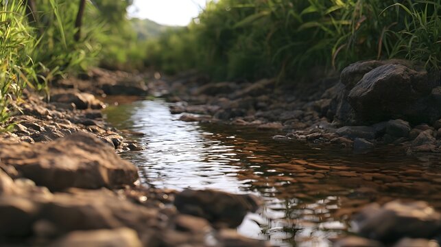 A narrow stream flows gently between sunlit rocks and lush green vegetation in a tranquil natural setting