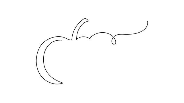 Single line art pumpkin illustration Minimalist autumn vegetable continuous line vector graphic