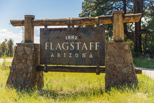 Historic Flagstaff Arizona Welcome Sign Surrounded by Yellow Wildflowers and Pine Trees