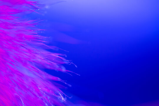 Neon magenta filaments, minimalist cyberpunk backdrop, copy space right
