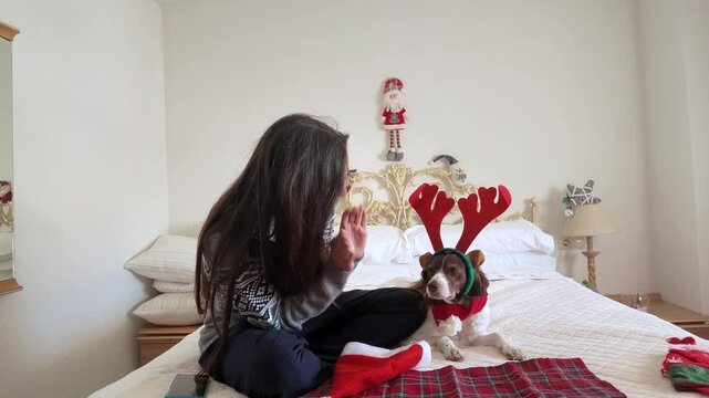 Happy Woman Celebrating Christmas with Her Springer Spaniel dog in Festively Decorated Bedroom, Placing Reindeer Antlers on Her Dog, Clapping with Joy, Holiday Cheer, Playful Pet Companionship