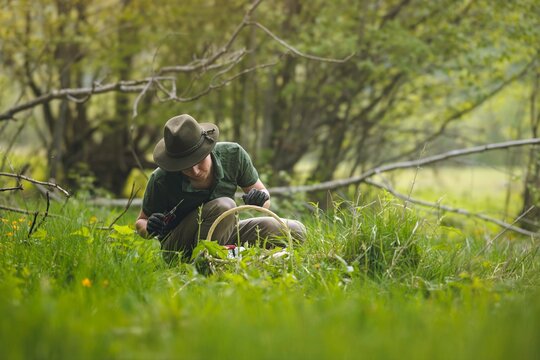 Field study layout with a seated observer among grass and tree branches, using layered green tones and open foreground space for design placement