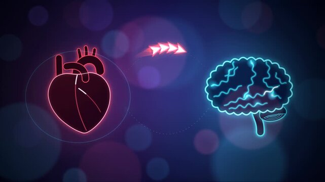 Glowing Neon Heart and Brain Connection Animation with Beating Heart and Two-Way Signal Arrows, Cardiology and Neurology Concept, Seamless Loop 