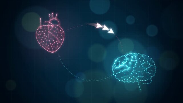 Neural Network Mesh of Beating Heart and Brain with Data Signals, Heart-Brain Axis Biotech Health Animation, Seamless Loop 