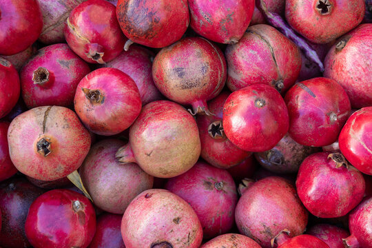 Pile of ripe red pomegranates at a fruit market stall in Campo de' Fiori, Rome, Italy