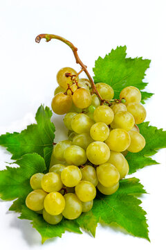 Green Grapes on Vine With Leaves