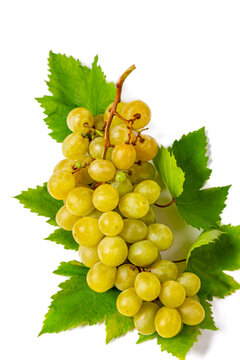 Green Grape Cluster With Leaves, White Background