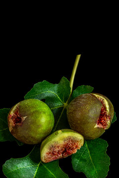 Fresh Figs on a Branch With Green Leaves