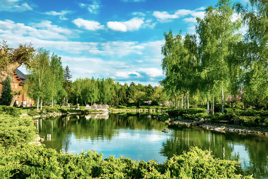 Beautiful Scenic Lake in Lush Green Park with Birch Trees and Blue Sky