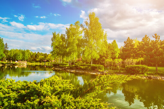 Beautiful Scenic Lake in Lush Green Park with Birch Trees and Blue Sky
