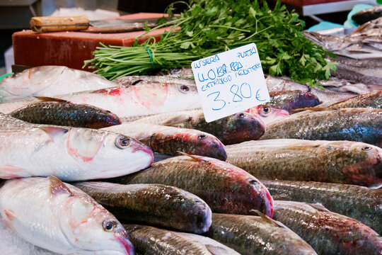 Fresh fish and parsley displayed at seafood market, Spain