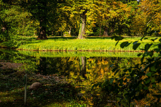 Herbstlicher Schlosspark mit beeindruckenden alten B&auml;umen