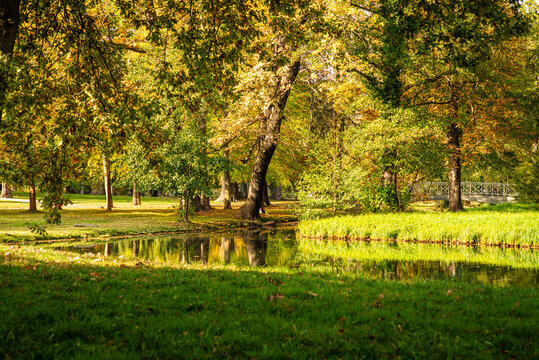 Herbstfarben entlang der Spazierwege im Schlosspark L&uuml;bbenau