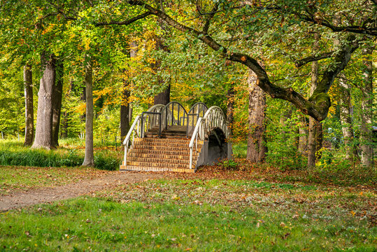 Malerische Parklandschaft am Schloss L&uuml;bbenau im Herbst