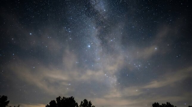 Starry sky stretches above dark tree silhouettes. Milky Way glows softly through wispy clouds. Night feels deep, quiet, and endless. Perfect for nature, astronomy, or serene mood themes