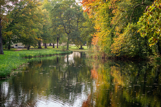 Alte B&auml;ume im herbstlichen Schlosspark L&uuml;bbenau