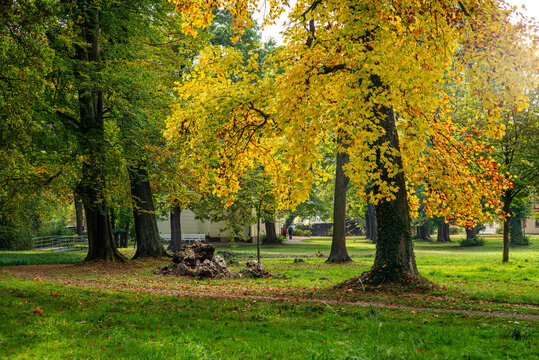 Schlosspark L&uuml;bbenau mit buntem Herbstlaub