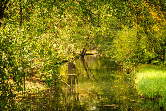 Herbstlicher Spaziergang durch den Schlosspark von L&uuml;bbenau