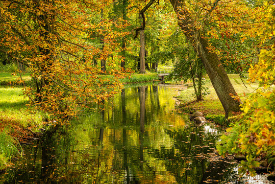 Schloss L&uuml;bbenau umgeben von herbstlichen B&auml;umen