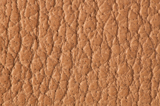 Close up of brown leather texture with natural pebbled grain pattern