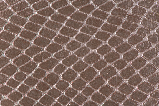 Close up of brown snakeskin leather texture with glossy reptile scale pattern