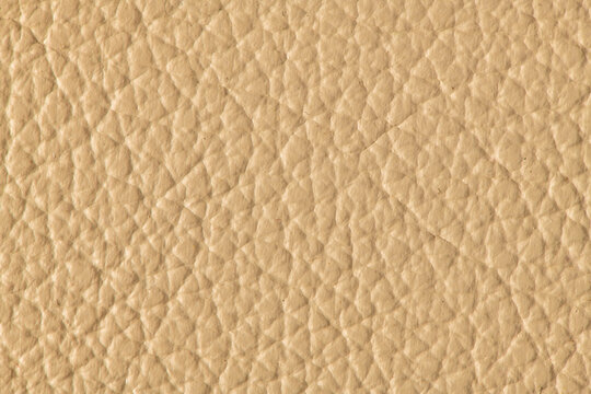 Close up of light tan leather texture with natural pebbled grain pattern
