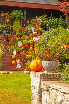 garden with flowers and pumpkins