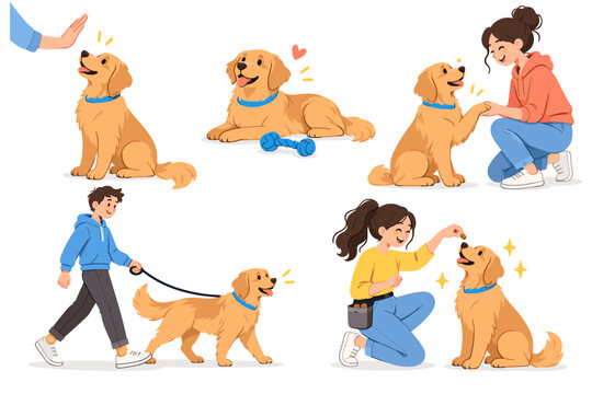 Illustrated golden retriever training scenes with people rewarding, walking, and playing with a dog