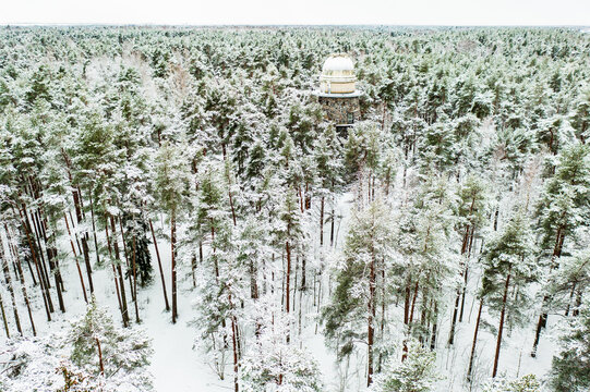 Old observatory tower in the Glen park, in fir forest. Tallinn, Estonia.