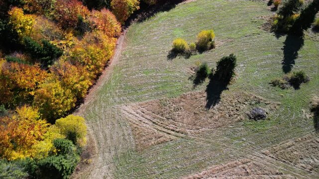 G&oacute;ry Gorce - Polska

Wieża widokowa w Magurkach i przepiękne widoki na Gorce i Tatruy na horyzoncie nagrane dronem w wysokiej jakości jesienną porą. Kolorowe drzewa, panorama g&oacute;r, Tatry, Gorce, drzewa