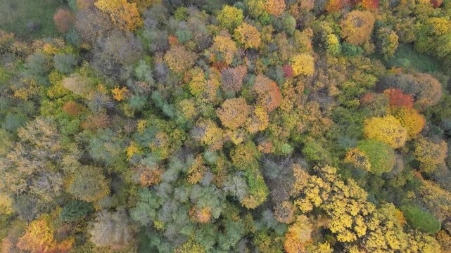 Szczawnica - Polska
Piękne jesienne widoki z Palenicy, g&oacute;rą nad Szczawnicą nagrne dronem. Kolorowe drzewa, Przełom Dunajca, Trzy Korony, Sokolica, chmury, pola, g&oacute;ry