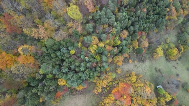 Szczawnica - Polska
Piękne jesienne widoki z Palenicy, g&oacute;rą nad Szczawnicą nagrne dronem. Kolorowe drzewa, Przełom Dunajca, Trzy Korony, Sokolica, chmury, pola, g&oacute;ry
