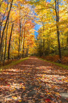 Upper Awosting carriage road  in Minnewaska State Park, NY, on a crisp and clear Autumn morning surrounded by vivid fall foliage