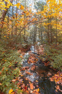 Upper Awosting carriage road  in Minnewaska State Park, NY, on a crisp and clear Autumn morning surrounded by vivid fall foliage