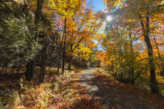 Upper Awosting carriage road  in Minnewaska State Park, NY, on a crisp and clear Autumn morning surrounded by vivid fall foliage