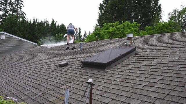 Home maintenance, senior woman homeowner on rooftop of house with canister of moss killer, spreading powder and granules on asphalt shingle roof
