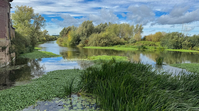 River Avon winding through lush reeds and trees under blue sky in Tewkesbury Gloucestershire