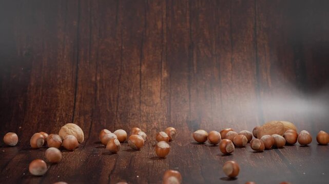 Falling walnuts and hazelnuts in slow motion, studio recording, Genthin, Saxony Anhalt, Germany