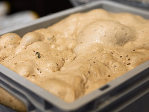 Bubbling Fermentation Process of Bread Dough in Container