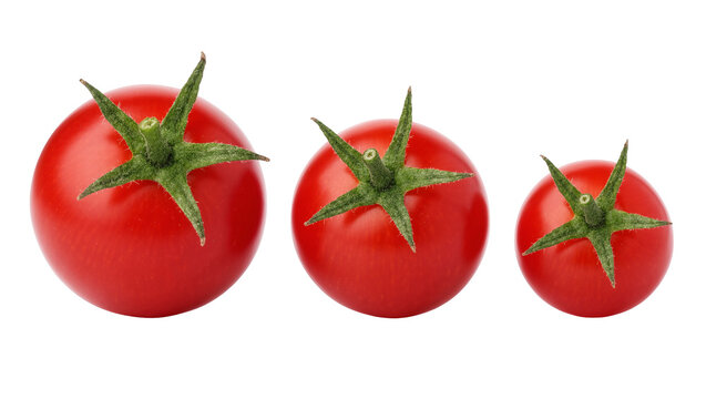 Isolated three fresh ripe red tomatoes of different sizes with green stems arranged horizontally