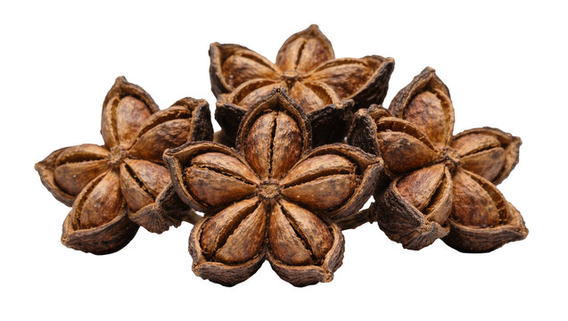 Isolated group of dried star anise pods, a natural aromatic culinary spice ingredient for cooking
